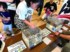 水中コイン落とし2025